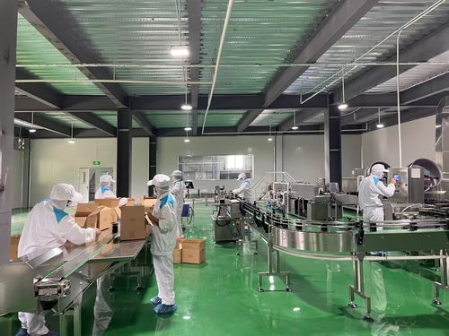 廣元青川 做優特色農產品精深加工，以生態工業引領高質量發展